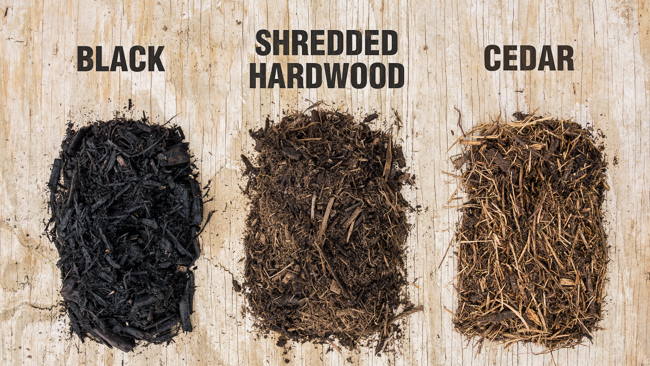Three Types of Mulch